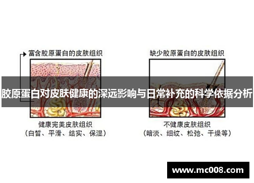 胶原蛋白对皮肤健康的深远影响与日常补充的科学依据分析